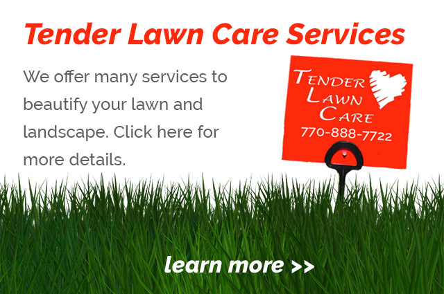 View our lawn care services